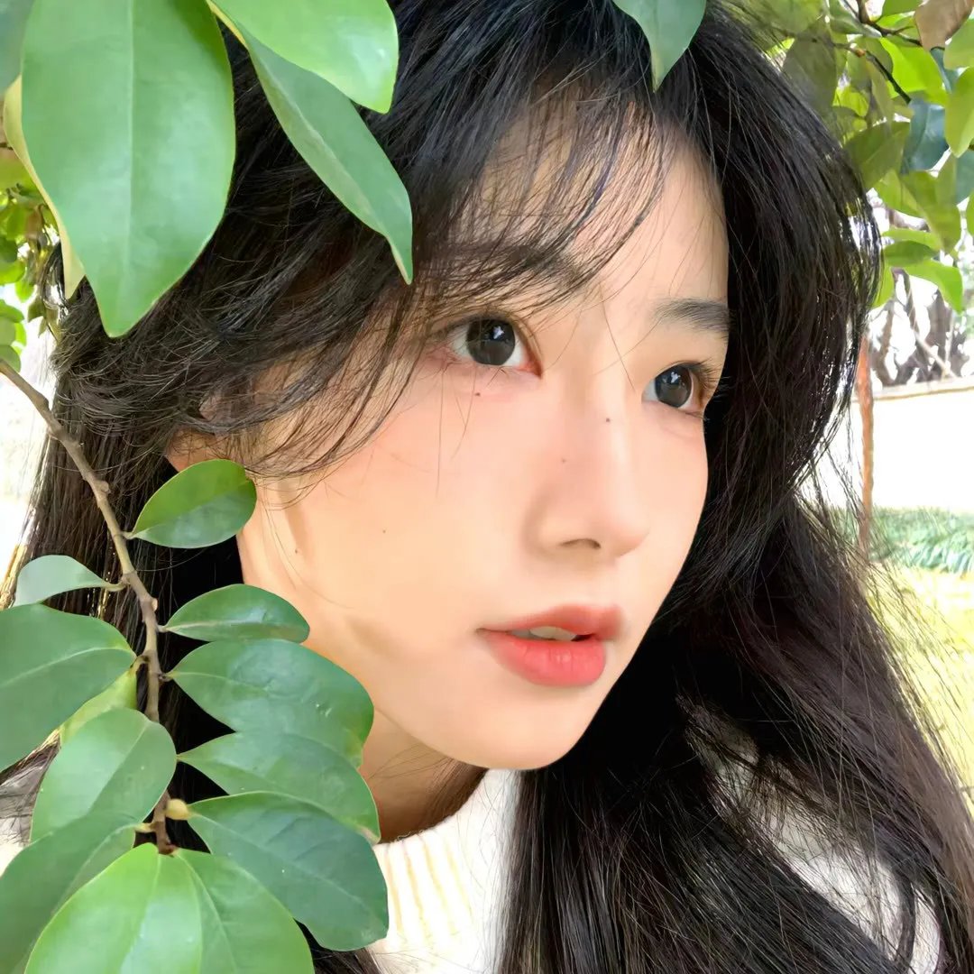 命运快车粤语